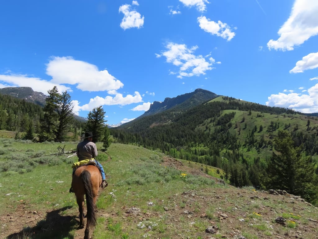 Park City Horseback Adventure in Oakley, UT