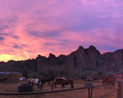 Sunset Desert Horseback Ride in Mesa, AZ