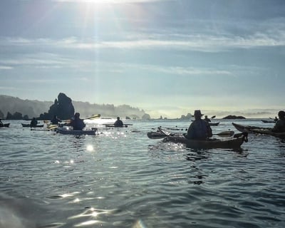 Trinidad Bay 3-Hour Kayak Tour