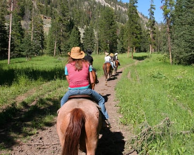 Browns Canyon Horseback Ride & Rafting Adventure