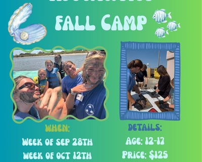 Aquarium Apprentice Camp in Surf City