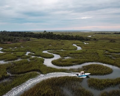 4-Hour Little Tybee Island Eco & Dolphin Tour