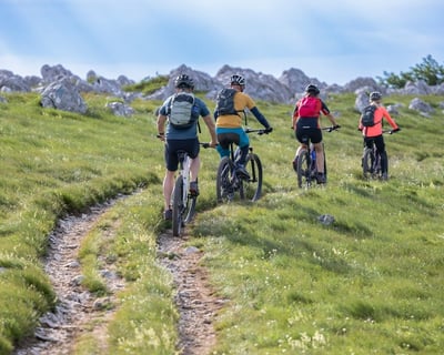 Ride a Guided E-Bike Tour in Hatcher Pass
