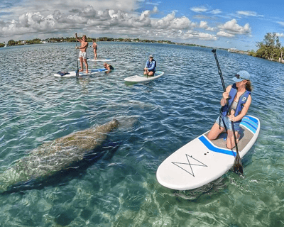 Paddleboard Rental in Marathon