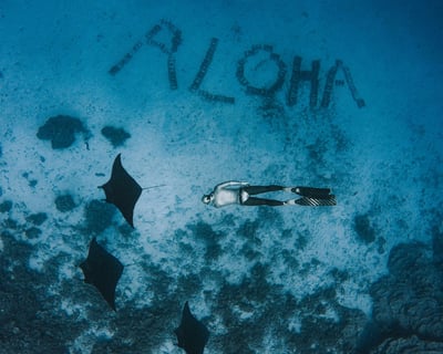 2-Day Freediving Course in Honolulu