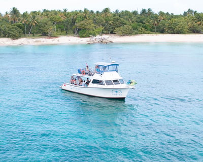 Icacos Island Sunset Snorkeling Cruise From Fajardo