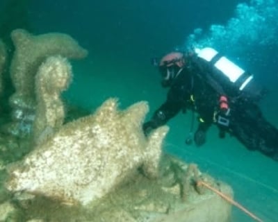 Orange Beach 1-Tank Dive