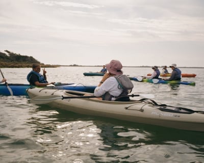 2-Hour Kayak Eco-Tour in Ocracoke