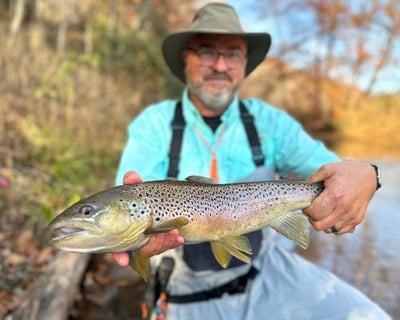 Full-Day Guided Trout Wade Fly Fishing in Western NC
