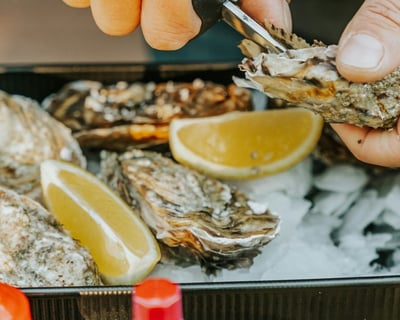 Portland Oyster Farm Boat Charter
