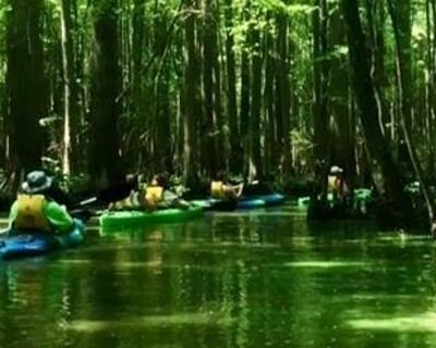 Guided Bald Cypress Kayak Tour at Trap Pond