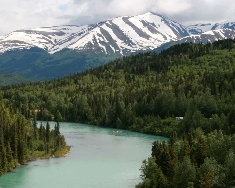 Salmon & Trout River Fishing Charter in Soldotna