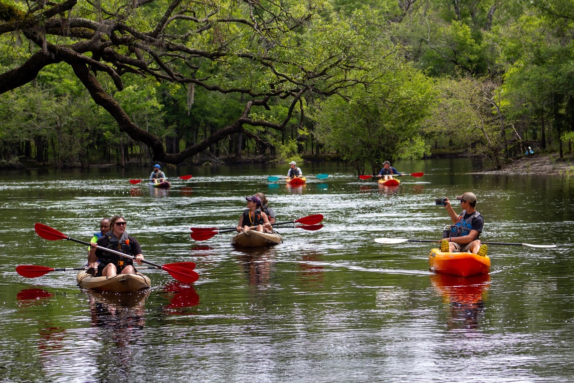 Waccamaw River Kayak Tour to Private Island