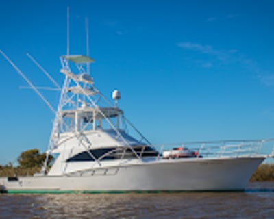 Bottom Fishing Charter in Orange Beach