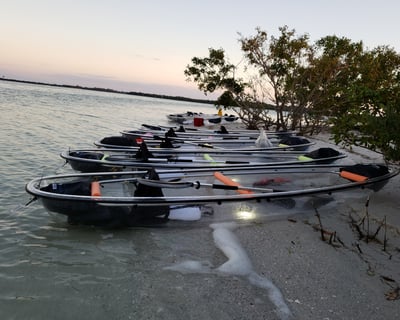 Shell Key Preserve Clear Kayak & Wildlife Tour