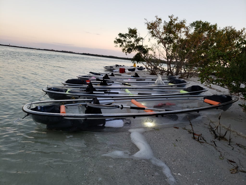 Clear Kayak Tour of Shell Key Preserve