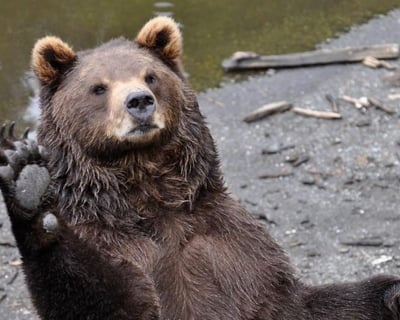 Explore Sitka on a 2-Hour Scenic Tour