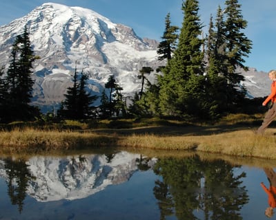 Mt. Rainier: Glaciers, Waterfalls & Wild Meadows