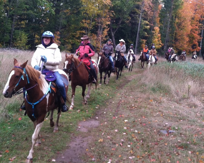Horseback Trail Ride & Arena Lesson in Pelkie, Michigan