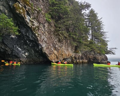 Full-Day Resurrection Bay Guided Kayak Tour