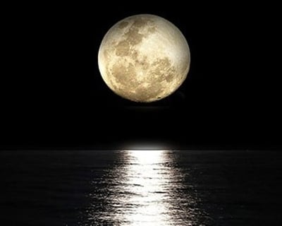 Bioluminescence & Full Moon Kayak Tour in Outer Banks