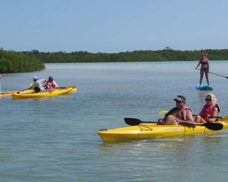Full-Day Mangrove & Indian Key Kayak Rental in Islamorada