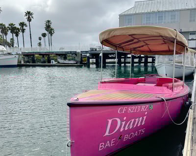 Alameda Pink Fantail Electric Boat Rental