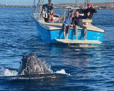 2-Hour Whale Watching Tour From Ka'anapali Beach