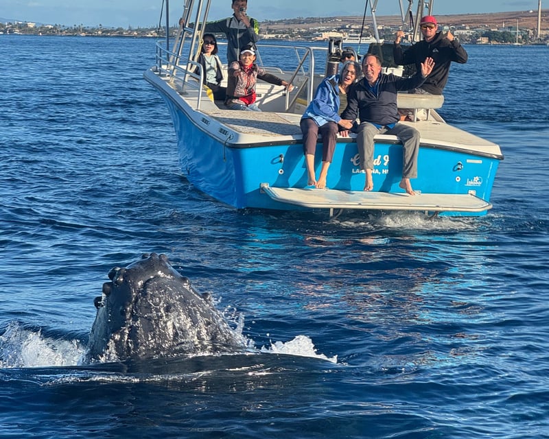 2-Hour Whale Watching Tour From Ka'anapali Beach