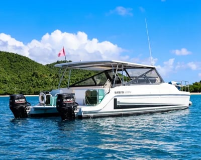 St. Thomas Turtle Snorkeling Shared Charter