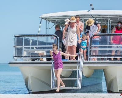 Sand Dollar Island Dolphin Cruise From St. Pete Beach