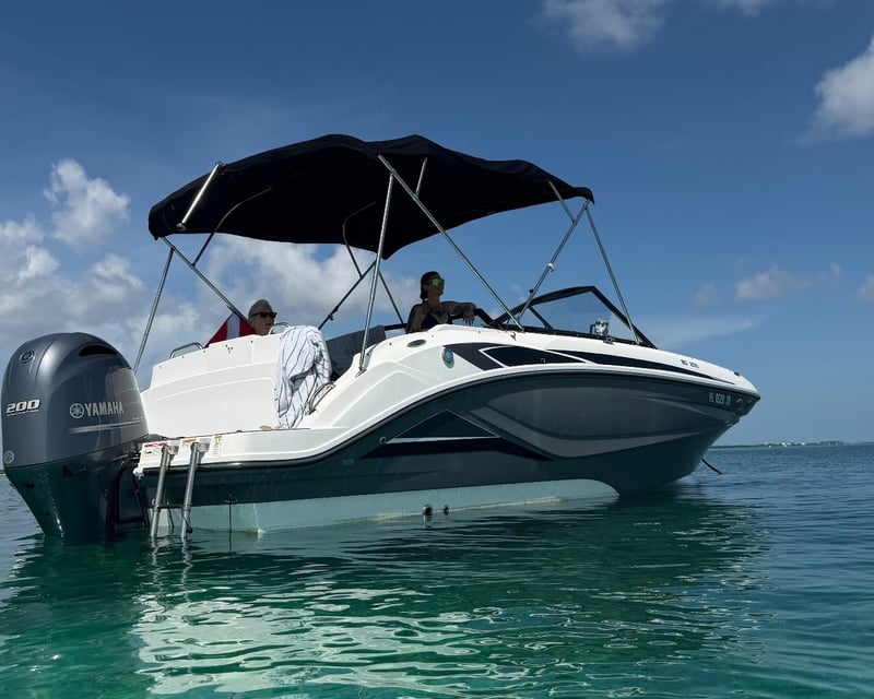 Private Full-Day Sandbar & Island Charter in Big Pine Key