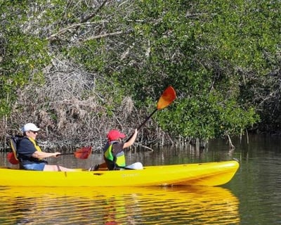 Everglades City Sit-On-Top Kayak Rental