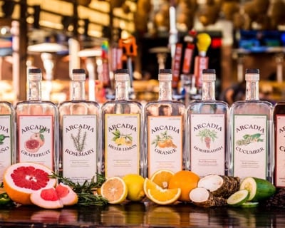 Tempe Desert ATV Tour with Whiskey Tasting