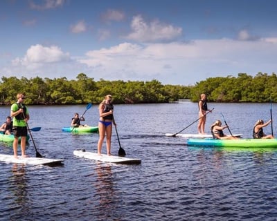 2-Hour Cocohatchee River Kayak & Paddleboard Rental