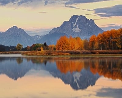 Grand Teton Sunrise Wildlife Safari