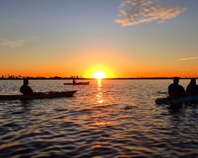 Dolphin & Manatee Sunset Paddle in Cape Coral