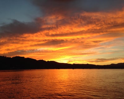 Cruise San Francisco Bay at Sunset
