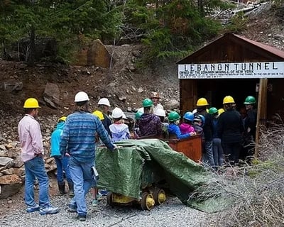 Wildlife Train & Mine Tour in Georgetown