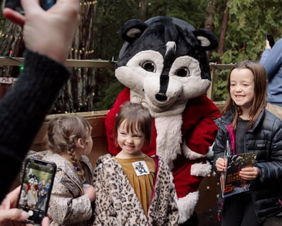 Willits Christmas Train to the Giant Tree