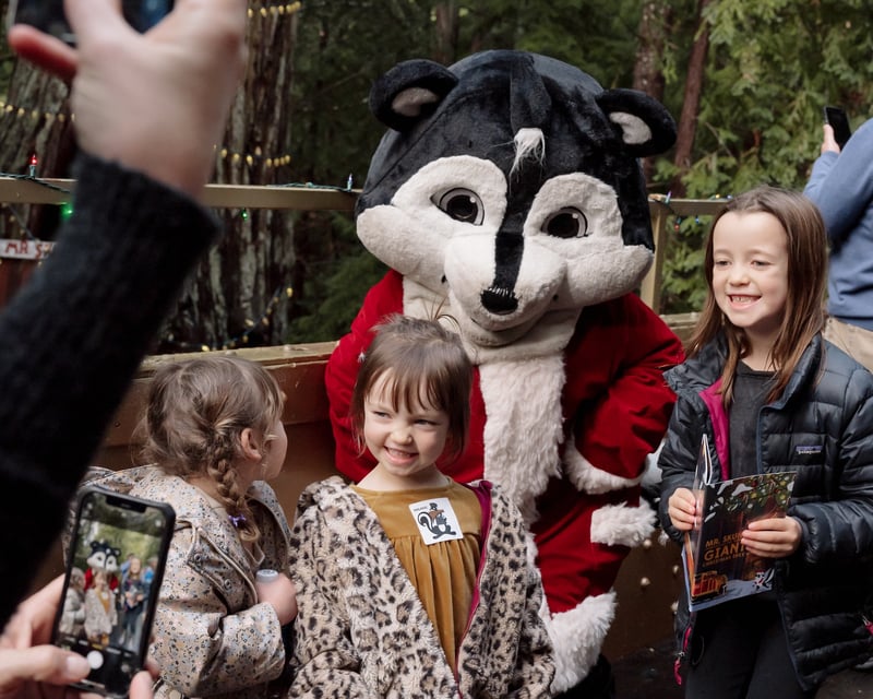 Willits Christmas Train to the Giant Tree