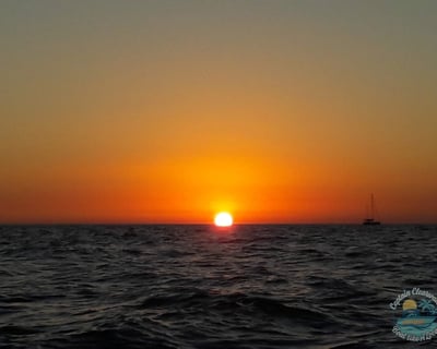 2-Hour Clearwater Beach Sunset Cruise