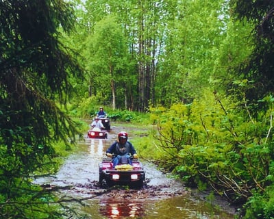 Explore Chugach State Park on a Private 3-Hour ATV Tour