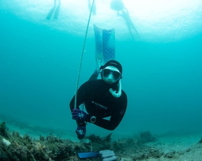Take a 3-Hour Freediving Lesson in Riviera Beach