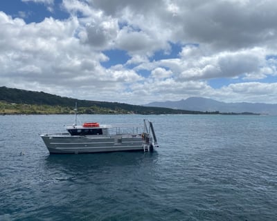 Haleiwa 1-Hour Sunset Tour