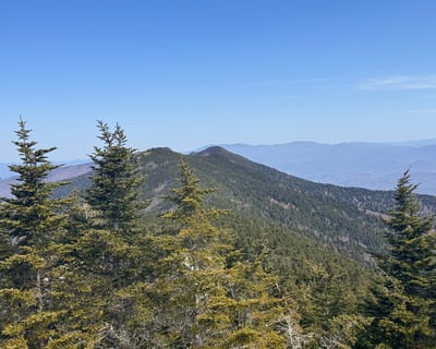 Mount Mitchell State Park 5-Hour Guided Tour