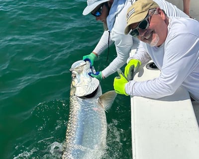 St. Petersburg 6-Hour Tarpon Fishing Charter