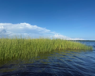 Private Coastal Cruise in Carolina Beach