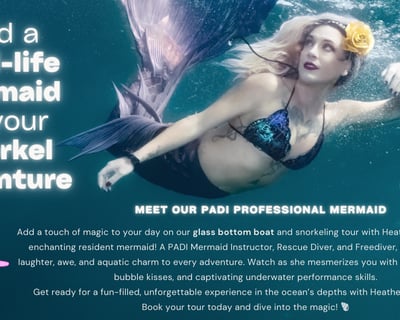 Snorkel With a Mermaid in Fort Lauderdale