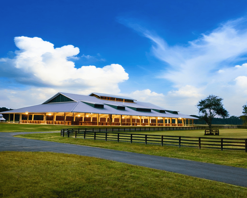 Private Horseback Riding Lesson in Bluffton